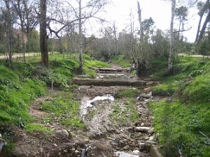 TELAGH LE BOSQUET  03